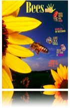 collage image title